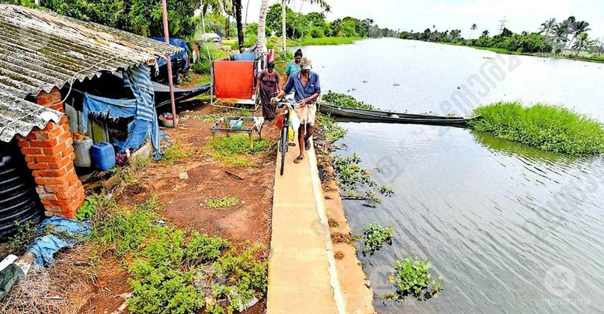 George Mathew, a coconut tree climber, pushes his bicycle along the protection wall of the Kodoor River on his way home at Varambinakam Chira in Nattakom. Nearly ten families living near Ettupadikadavu continue to struggle without a proper access road or drinking water supply. Photo: Special arrangement