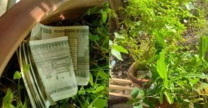 Vigilance raid at Kasaragod RTO finds ₹17,150 thrown in flower pots | Kerala News | ACTPnews