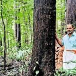 Meet Sebastian, man who turned his farm in Kasaragod into a forest | ACTPnews