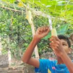 Farmer father inspires this Thrissur teen who earns from vegetable cultivation, up next flower farm | Kerala News | ACTPnews