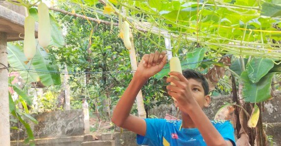 Ghanasyam tending his plants