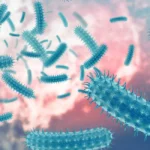 Fourth Shigella death reported in Kerala; Seven-year-old Malappuram boy dies in Kozhikode | Kerala News | ACTPnews