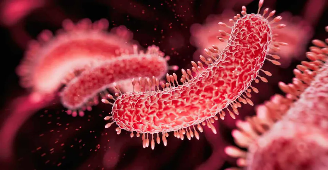 Diarrhoea, fever, stomach cramps, fatigue, and stool with traces of blood are among the major symptoms of Shigella infection. Photo: iStock/koto_feja