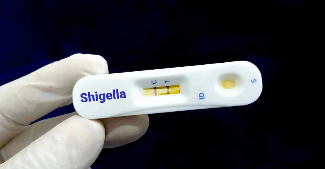 The variety of Shigella causing the current spread is apparently 'Shiga' or 'Shigella dysenteriae type 1.' Photo: iStock/Md Saiful Islam Khan