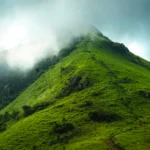 Kerala to seek exclusion of farmlands, settlements from ESA limits | Kerala News | ACTPnews