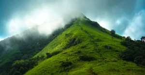 Kerala to seek exclusion of farmlands, settlements from ESA limits | Kerala News | ACTPnews