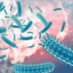 Eight more Shigella cases reported in Kerala, June tally rises to 205 | Kerala news in English | ACTPnews