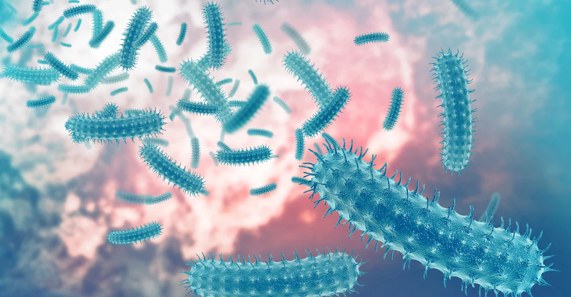 Eight more Shigella cases reported in Kerala, June tally rises to 205 | Kerala news in English | ACTPnews