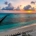 Compulsory retirement of 47 Lakshadweep govt employees a ‘violation of social justice,’ says MP Hamdullah Sayeed | ACTPnews