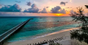 Compulsory retirement of 47 Lakshadweep govt employees a ‘violation of social justice,’ says MP Hamdullah Sayeed | ACTPnews