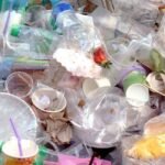 Allianz’s plastic waste project crosses 1,000-ton recovery milestone in TVM | Kerala News | ACTPnews