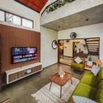 Lush tropical haven built on just three cents of land in Kochi | Kerala Stories | ACTPnews