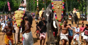 Kerala HC issues directions to improve welfare of Guruvayur Temple elephants | Kerala News | ACTPnews