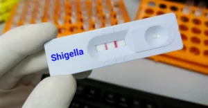 4-year-old boy diagnosed with Shigella in Kottayam after eating hotel food | Shigella | Kerala News | Kerala stories | ACTPnews