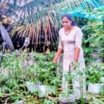 This panchayat member in Kerala is all set to greet Onam with organic rooftop farm | Kerala Stories | ACTPnews