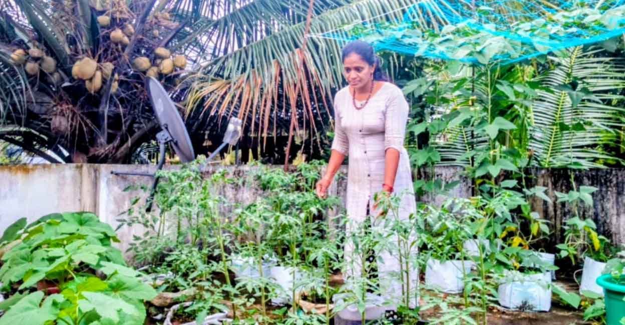 This panchayat member in Kerala is all set to greet Onam with organic rooftop farm | Kerala Stories | ACTPnews