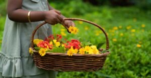 TVM gears up for Kerala Tourism’s grand Onam week celebrations from August 24 to 30 | Kerala News in English | ACTPnews