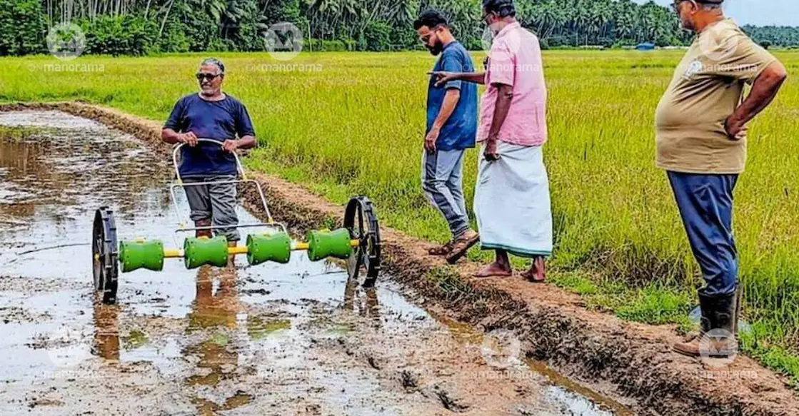 Farmers use a drum seeder to sow paddy at the Adimanathazham paddy fields in Kadavallur. Photo: Special Arrangement.