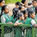 Tvm Zoo welcomes new zebras in major generational revamp | Kerala News in English | ACTPnews