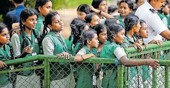 Tvm Zoo welcomes new zebras in major generational revamp | Kerala News in English