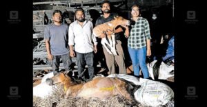 Foal delivered under torchlight named Torch | Palakkad veterinary miracle | ACTPnews