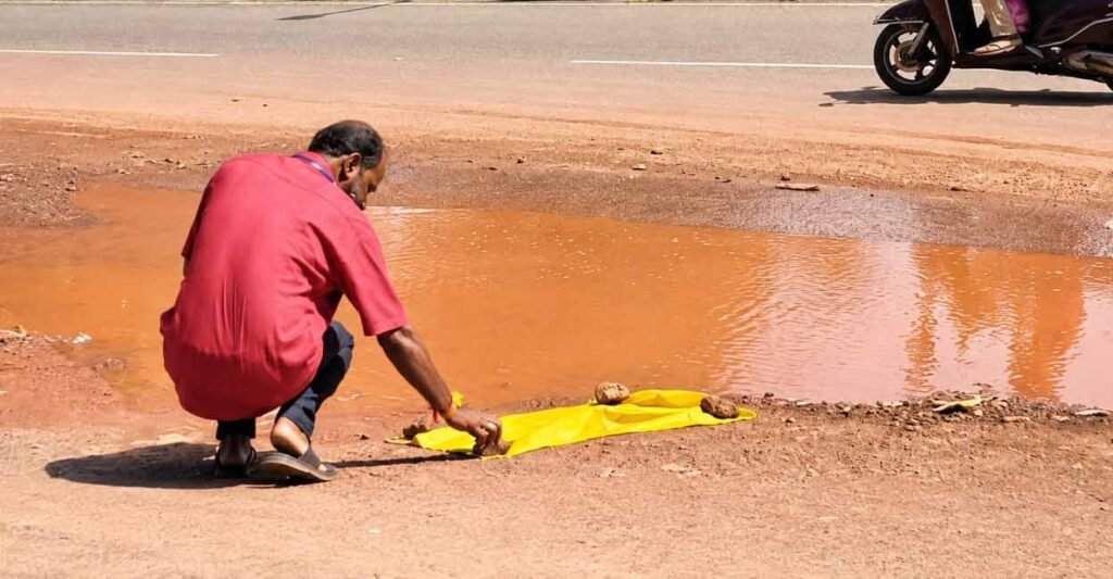 Snake killed by vehicle cremated with rituals in Kasaragod; residents plan Karnataka temple visit | Kerala News in English | ACTPnews