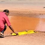 Snake killed by vehicle cremated with rituals in Kasaragod; residents plan Karnataka temple visit | Kerala News in English | ACTPnews