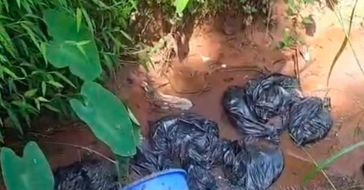 Sewage dumped in open drain in Kasaragod; residents track down culprits, make them clean it up
