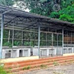 Farmers lose trading grounds as traditional markets fade despite provision of new facilities | Kerala Stories | ACTPnews