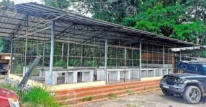 Farmers lose trading grounds as traditional markets fade despite provision of new facilities | Kerala Stories | ACTPnews