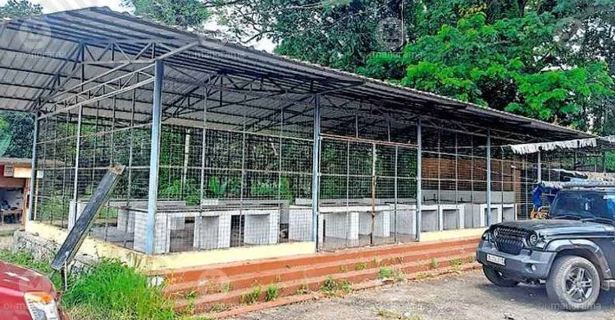 The newly constructed fish stall at Nellimukal market in Kadambanad Panchayat, lying idle. Photo: Special arrangement