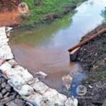 Farmers of Kolavalli fields in Wayanad facing water crisis in monsoon like never before | Kerala News in English | ACTPnews