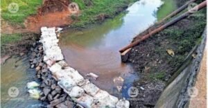 Farmers of Kolavalli fields in Wayanad facing water crisis in monsoon like never before | Kerala News in English | ACTPnews